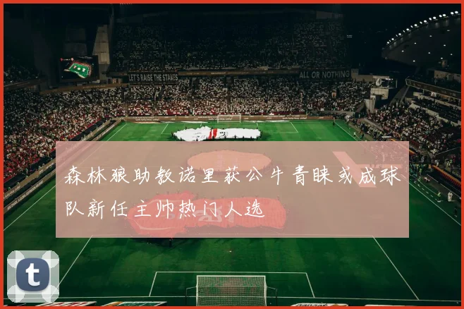 森林狼助教诺里获公牛青睐或成球队新任主帅热门人选